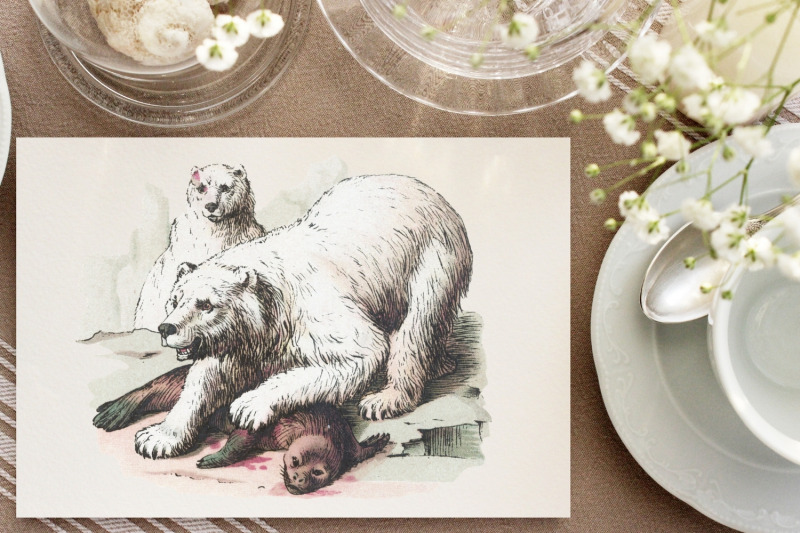 antique-animal-clipart-set-vintage-bear-clipart-graphics