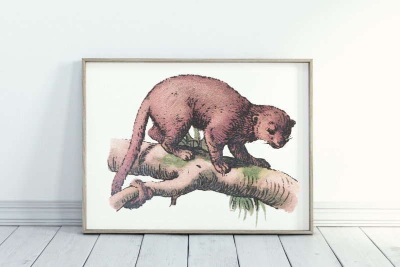 antique-animal-clipart-set-vintage-bear-clipart-graphics