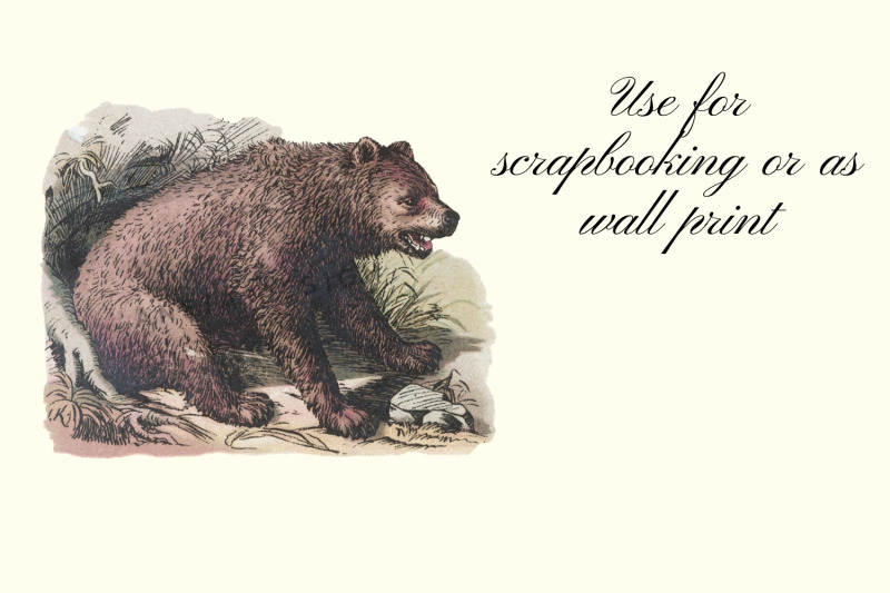 antique-animal-clipart-set-vintage-bear-clipart-graphics