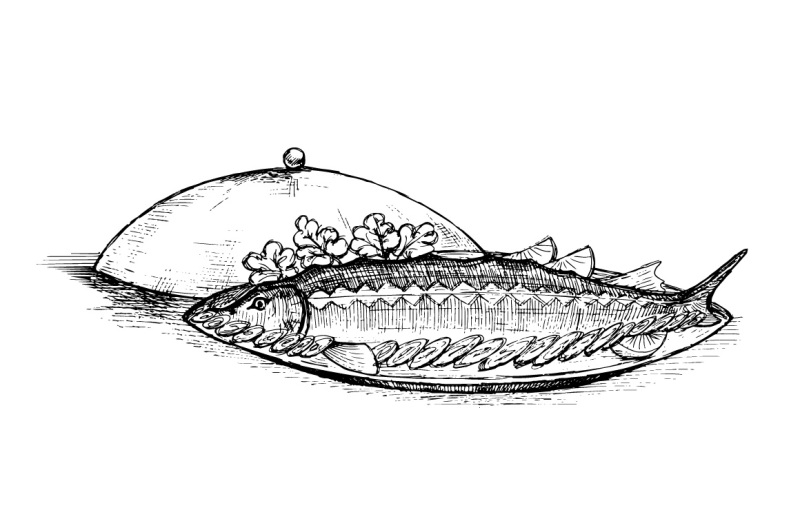 fish-serving-hand-drawing