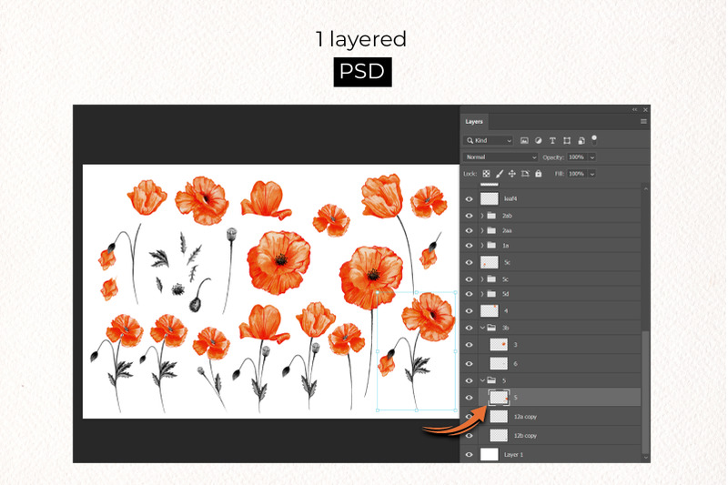 red-california-poppies-floral-design-clipart