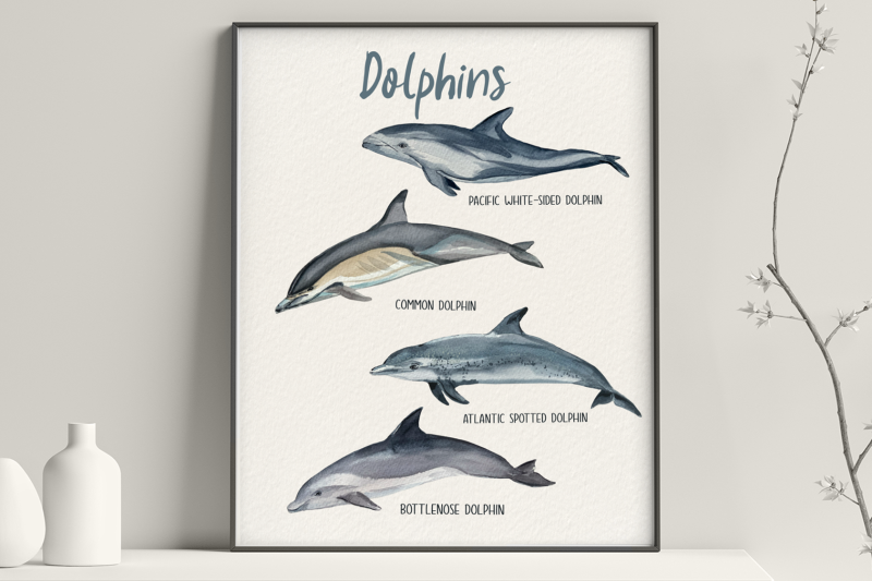 dolphins-watercolor-clip-art-amp-print
