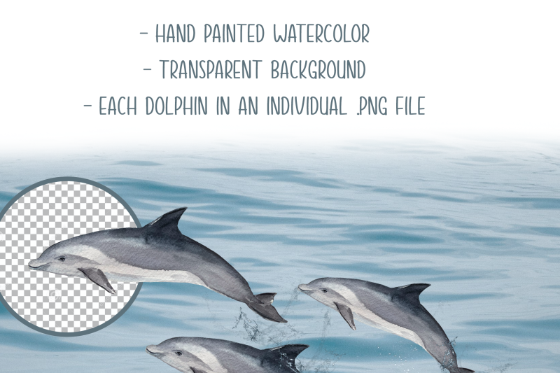 dolphins-watercolor-clip-art-amp-print