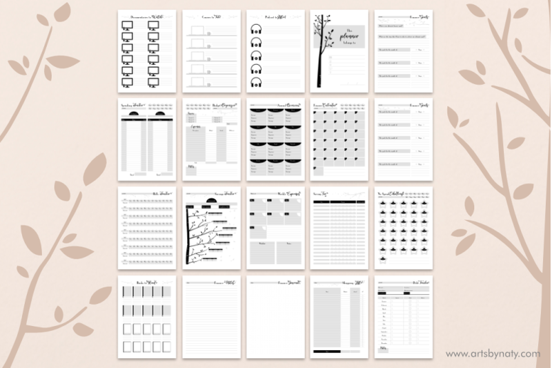 printable-financial-health-and-budget-planner