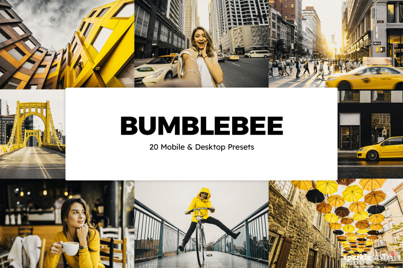20-bumblebee-lightroom-presets-amp-luts