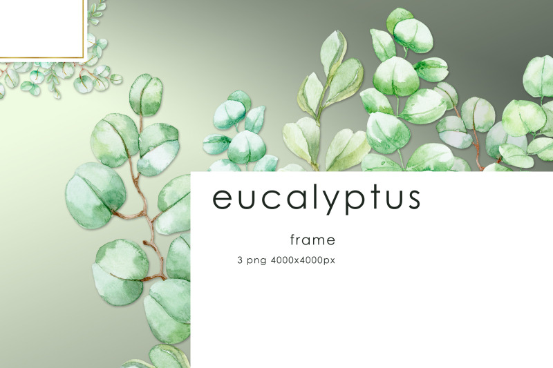 frames-with-watercolor-eucalyptus