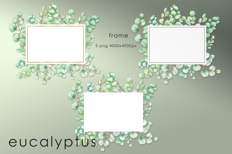 frames-with-watercolor-eucalyptus