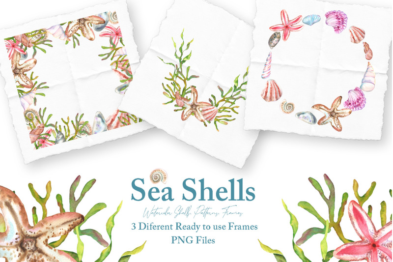 watercolor-sea-shells-illustration-set
