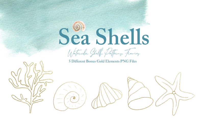 watercolor-sea-shells-illustration-set