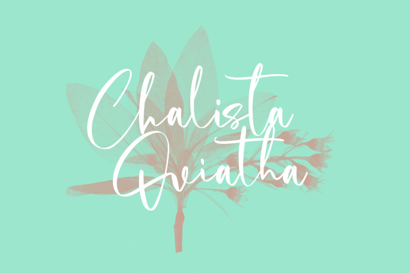 cholasette-script-font