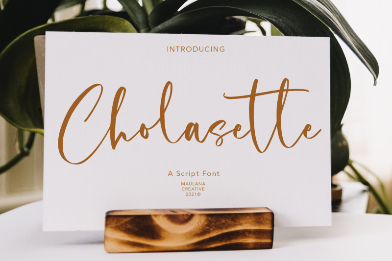 cholasette-script-font