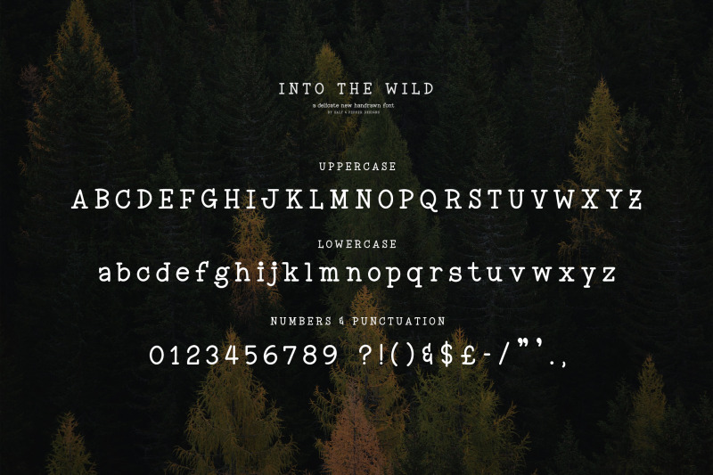 into-the-wild-font-serif-fonts-rough-fonts-vintage-fonts