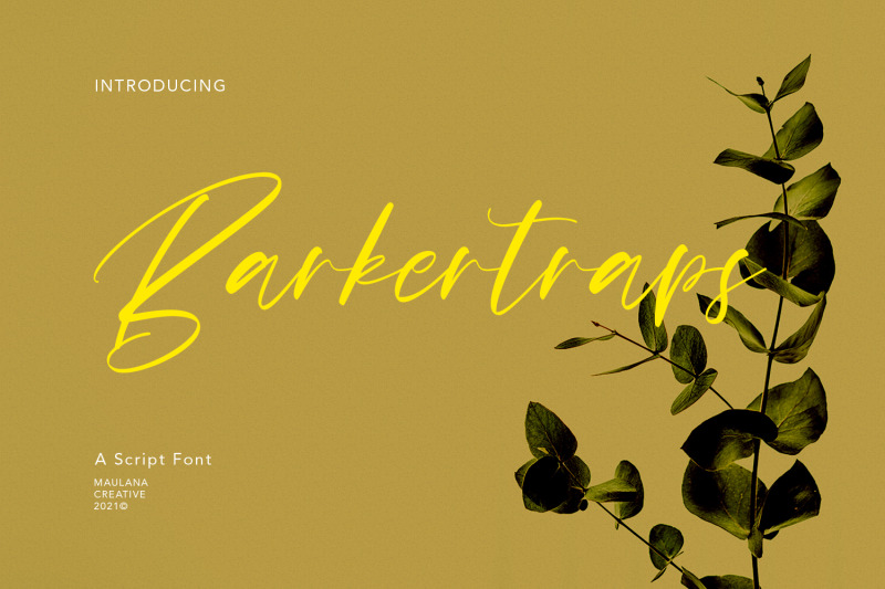 barkertraps-script-font