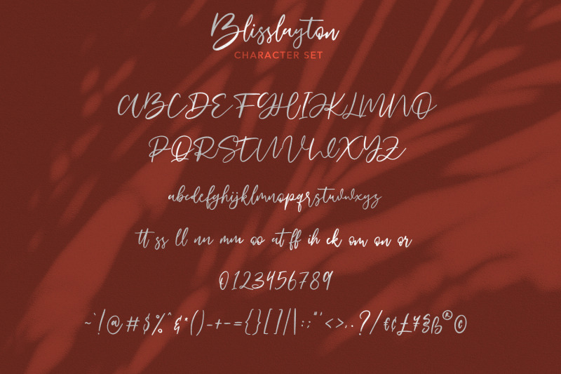 blisslayton-script-font