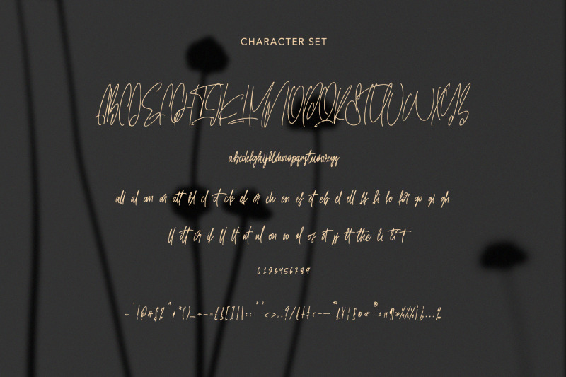 gilly-fleurs-signature-font