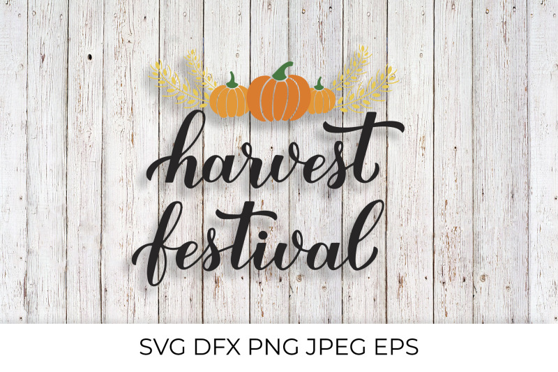 harvest-festival-calligraphy-lettering-with-hand-drawn-pumpkins-and-wh