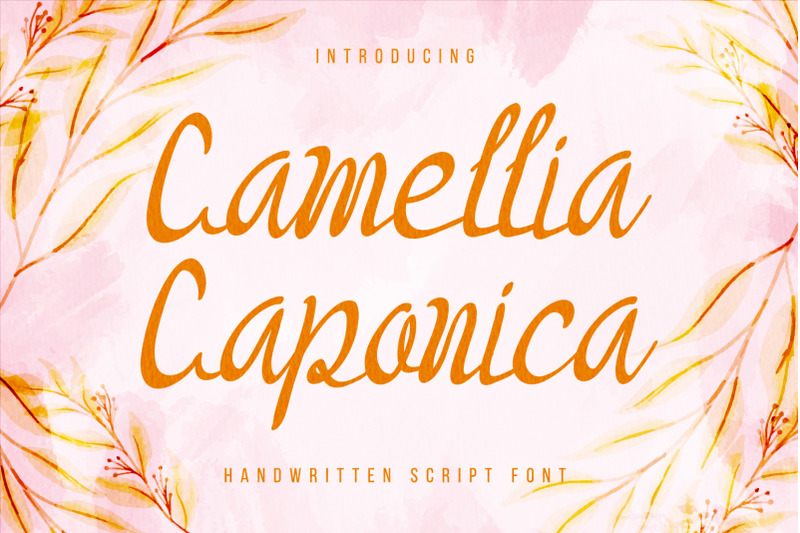 camellia-caponica-sweet-and-cursive-handwritten-font