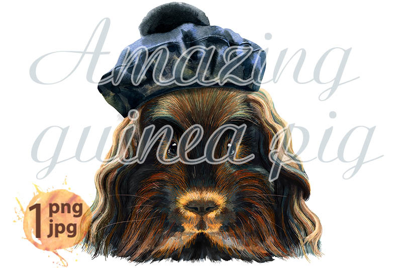 watercolor-portrait-of-merino-guinea-pig-in-black-beret