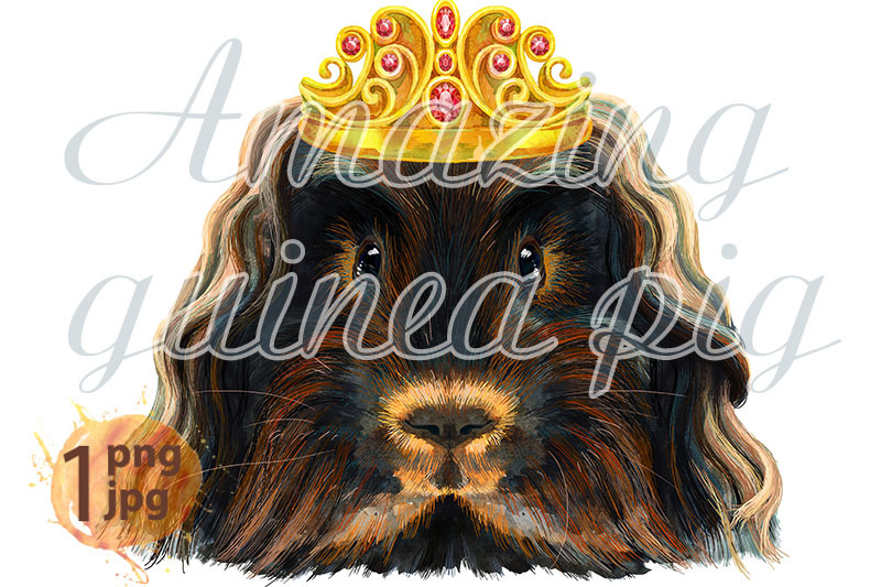 watercolor-portrait-of-merino-guinea-pig-in-golden-crown