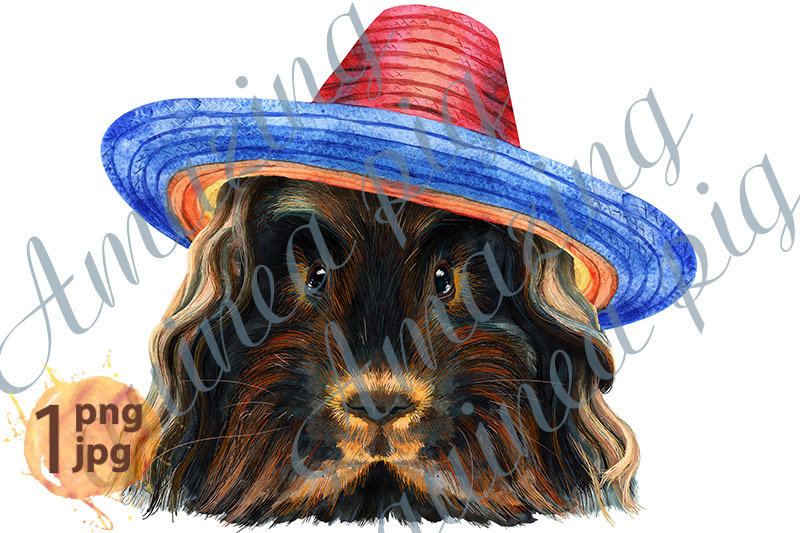 watercolor-portrait-of-merino-guinea-pig-in-sombrero-hat