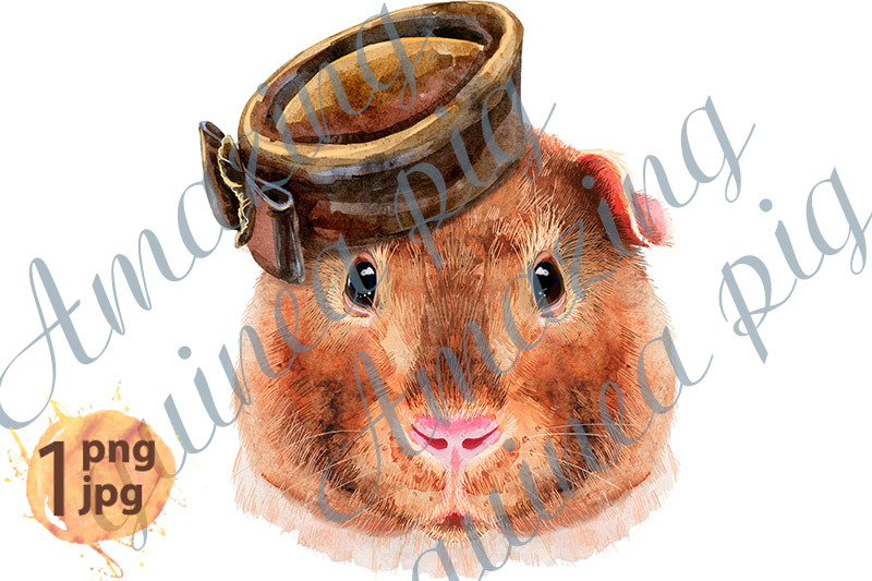 watercolor-portrait-of-teddy-guinea-pig-with-brown-hat