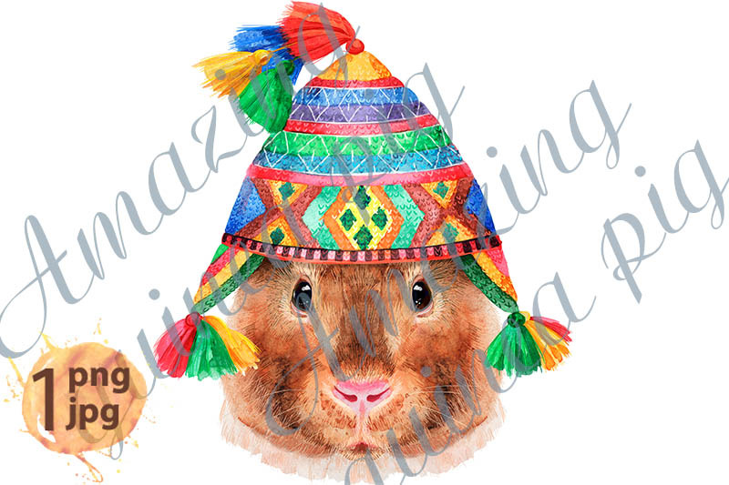 watercolor-portrait-of-teddy-guinea-pig-in-chullo-hat
