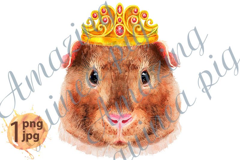 watercolor-portrait-of-teddy-guinea-pig-with-golden-crown