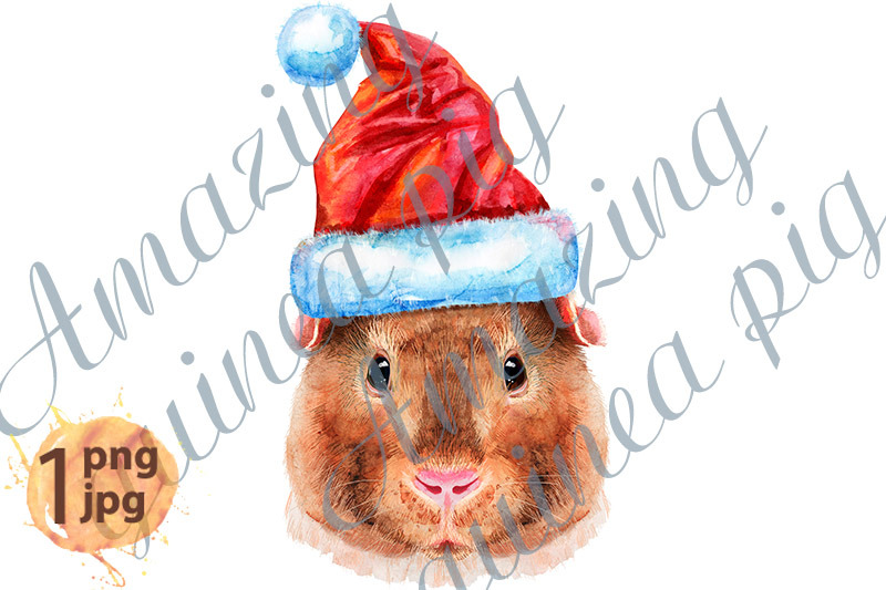 watercolor-portrait-of-teddy-guinea-pig-with-santa-hat