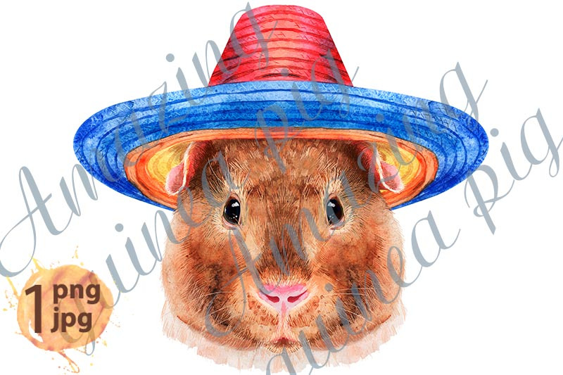 watercolor-portrait-of-teddy-guinea-pig-in-sombrero-hat