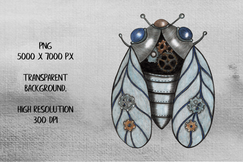 hand-drawn-steampunk-cicada-png