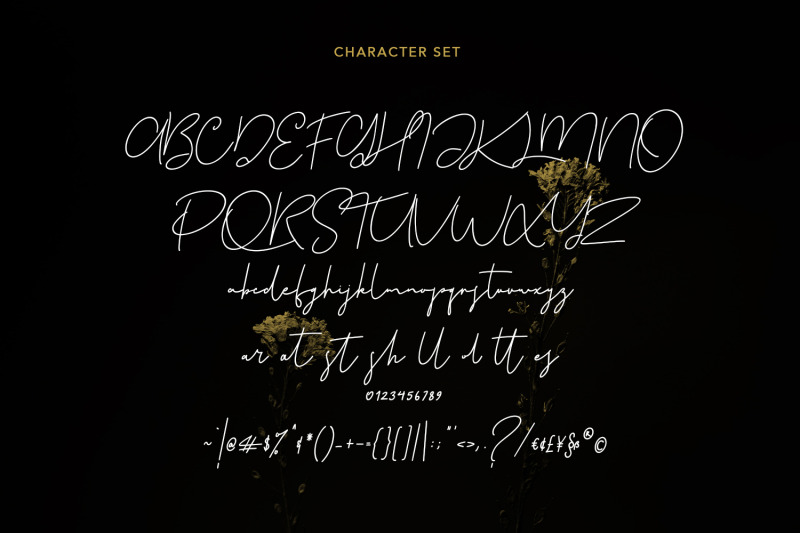 plastikcycle-script-font