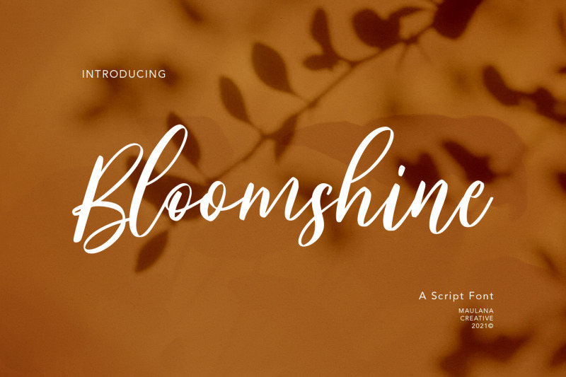 bloomshine-script-font