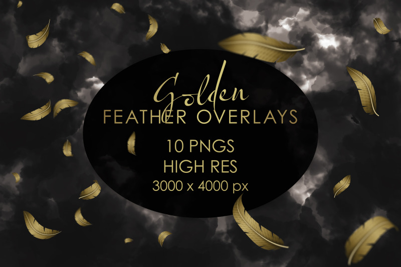 golden-feather-overlay-pngs