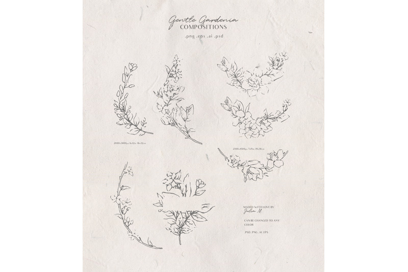 gardenia-flowers-modern-floral-line-art-set