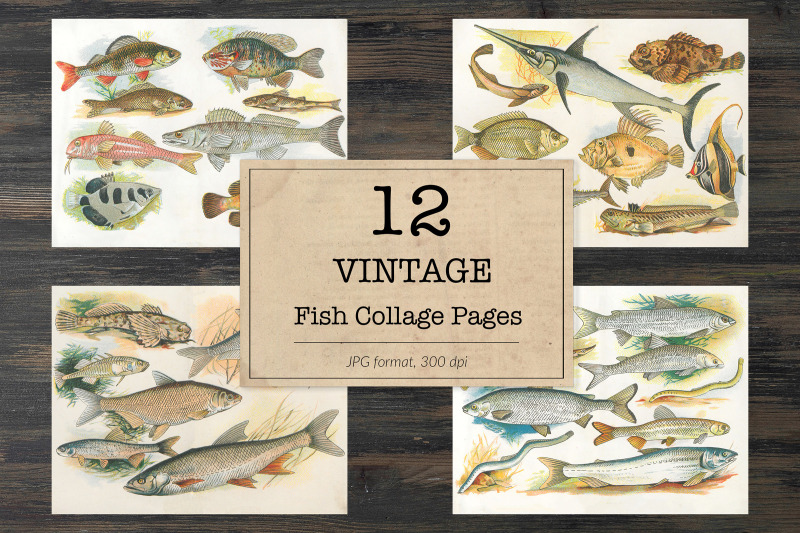 vintage-fish-book-pages