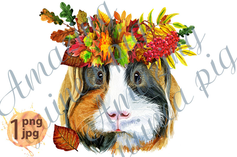 guinea-pig-with-wreath-of-leaves