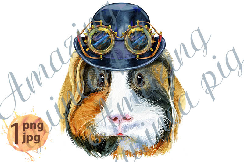 watercolor-portrait-of-sheltie-guinea-pig-with-biker-helmet