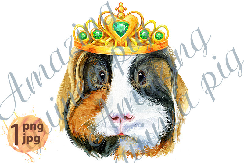 watercolor-portrait-of-sheltie-guinea-pig-with-golden-crown