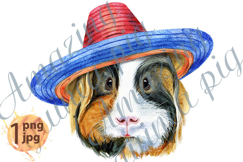 watercolor-portrait-of-sheltie-guinea-pig-in-sombrero-hat