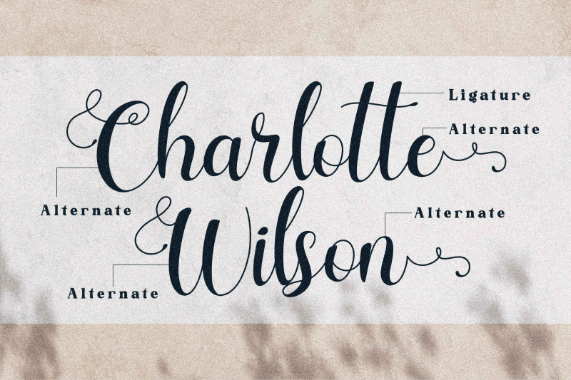 charlotte-wilson