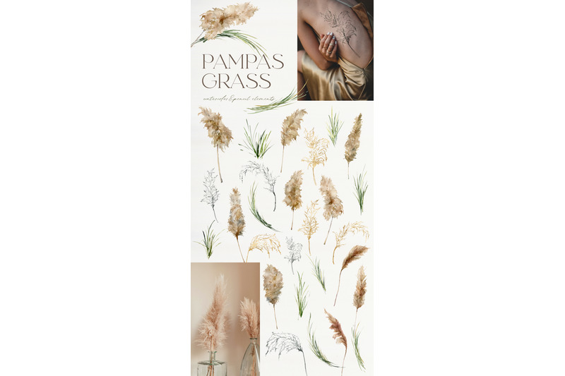 pampas-grass-watercolor-abstract-clipart