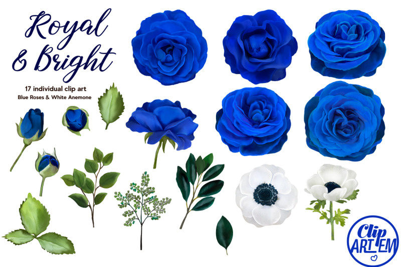 royal-blue-roses-white-anemones-watercolor-17-png-floral-clip-art-set