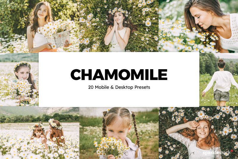 20-chamomile-lightroom-presets-and-luts
