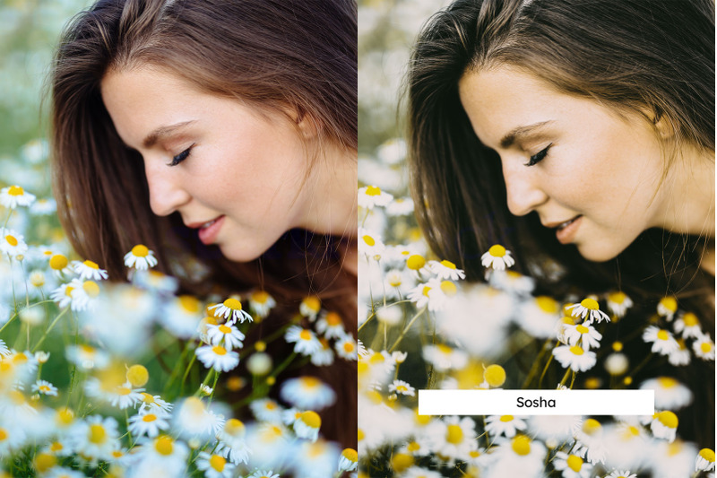 20-chamomile-lightroom-presets-and-luts