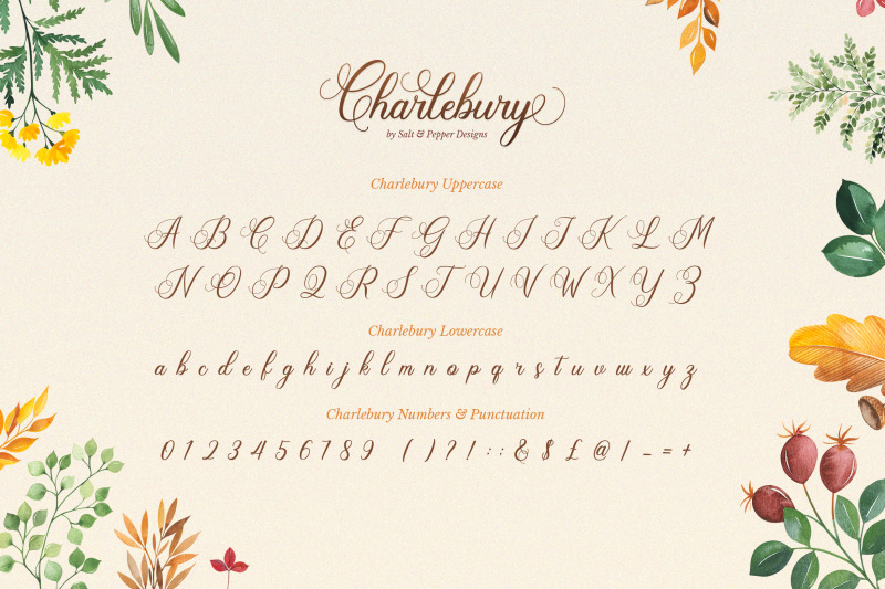 charlebury-script-font-script-fonts-cursive-fonts-calligraphy-font