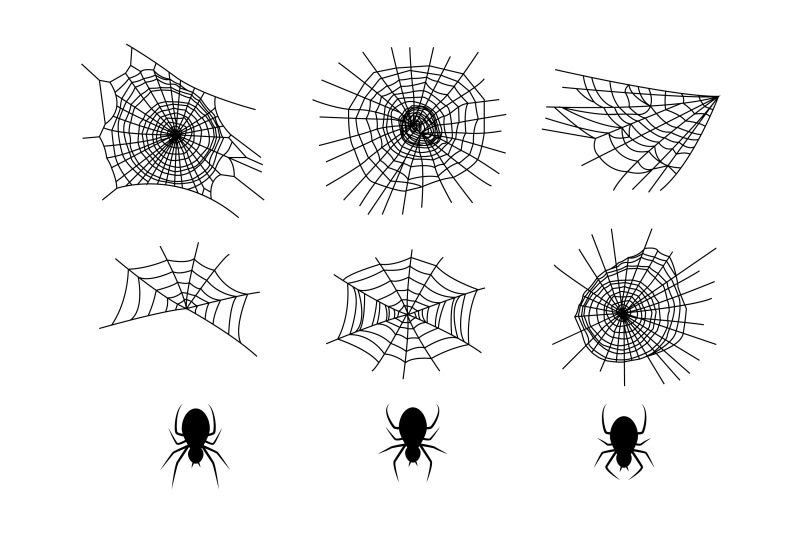 collection-of-spiders-and-webs