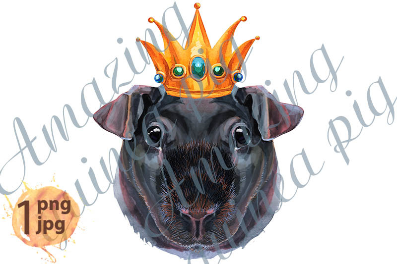 watercolor-portrait-of-skinny-guinea-pig-with-gold-crown