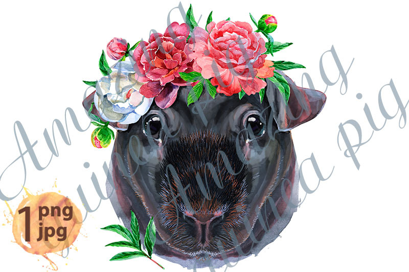 watercolor-portrait-of-skinny-guinea-pig-with-flowers