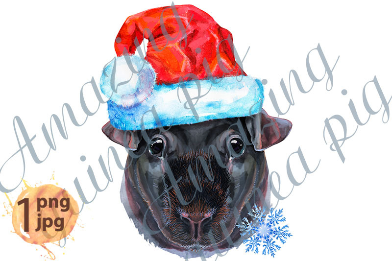 watercolor-portrait-of-skinny-guinea-pig-in-santa-hat