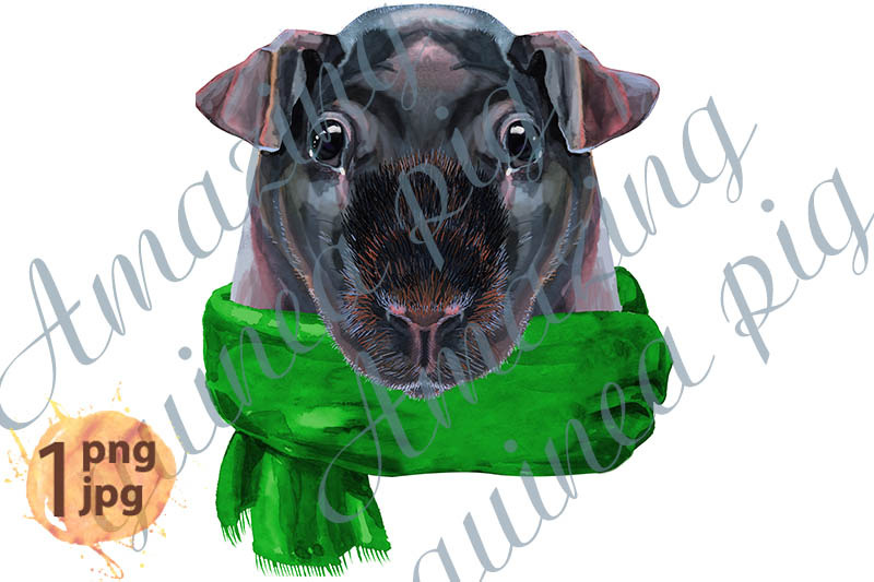 watercolor-portrait-of-skinny-guinea-pig-in-green-scarf